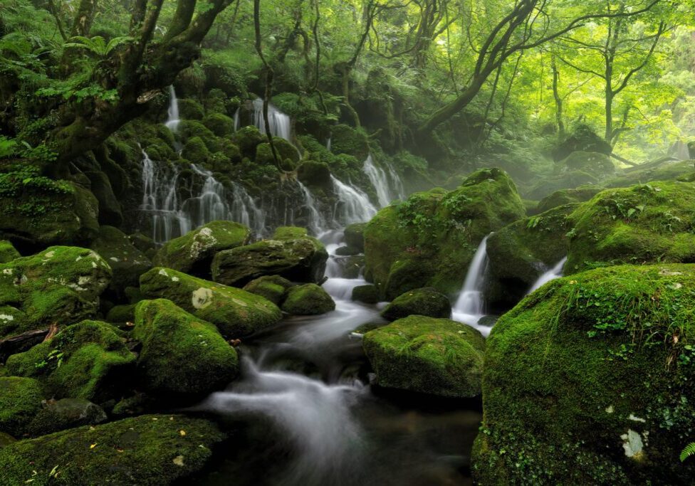 kanenori river