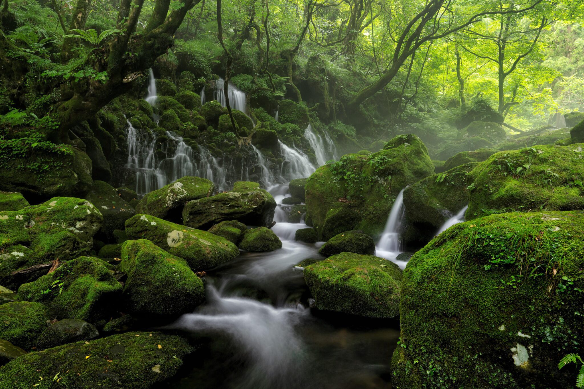 kanenori river